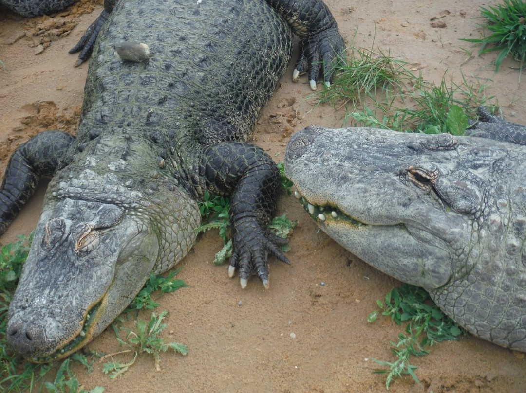 Doc's Zoo-Bonduel必去景点