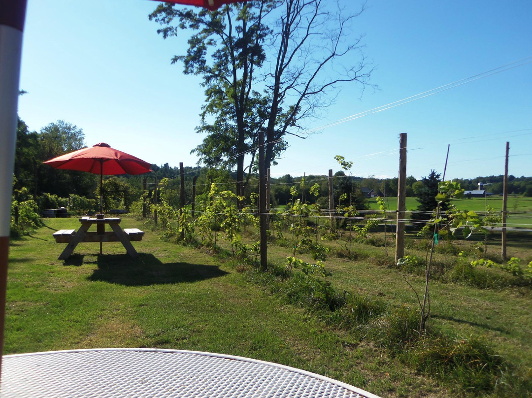 Forest Dale旅游景点-Neshobe River Winery