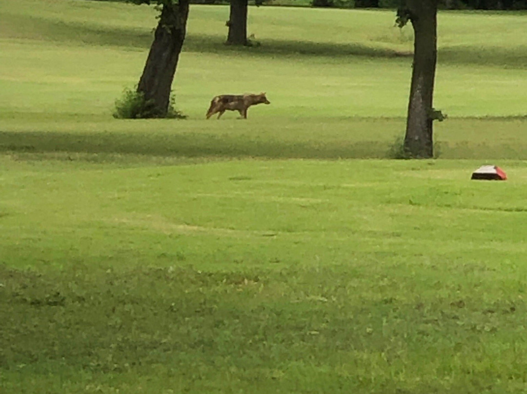 Pecan Valley Golf Course景点图片