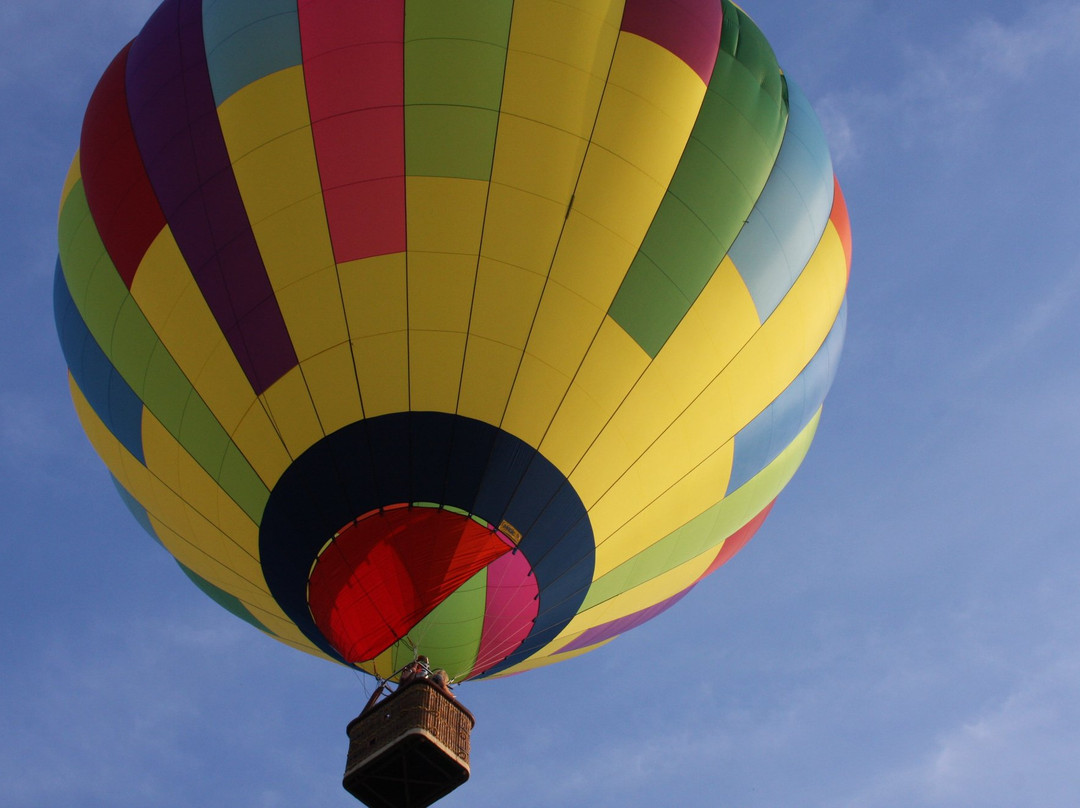 Bluff City Balloons-孟菲斯必去景点