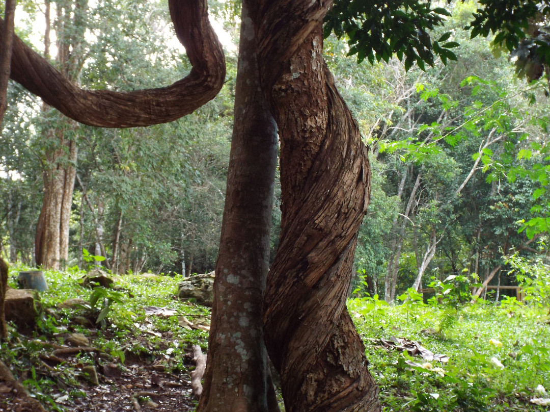 Dakdam Waterfall-森莫诺隆必去景点