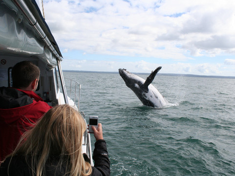 Legend Charters-戴士柏必去景点
