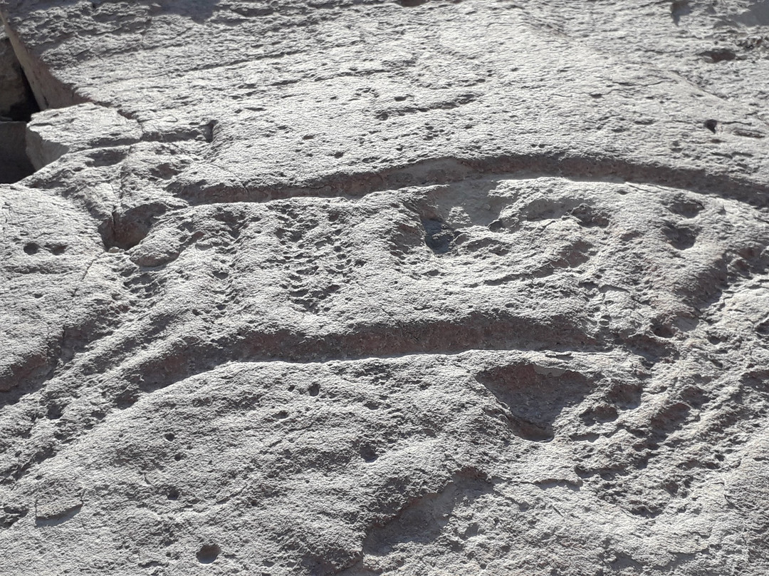 Petroglifos De Chichictara