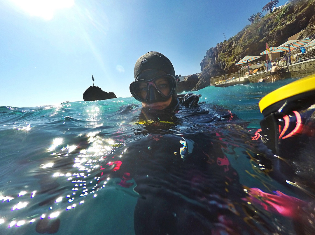 Manta Diving Madeira景点图片