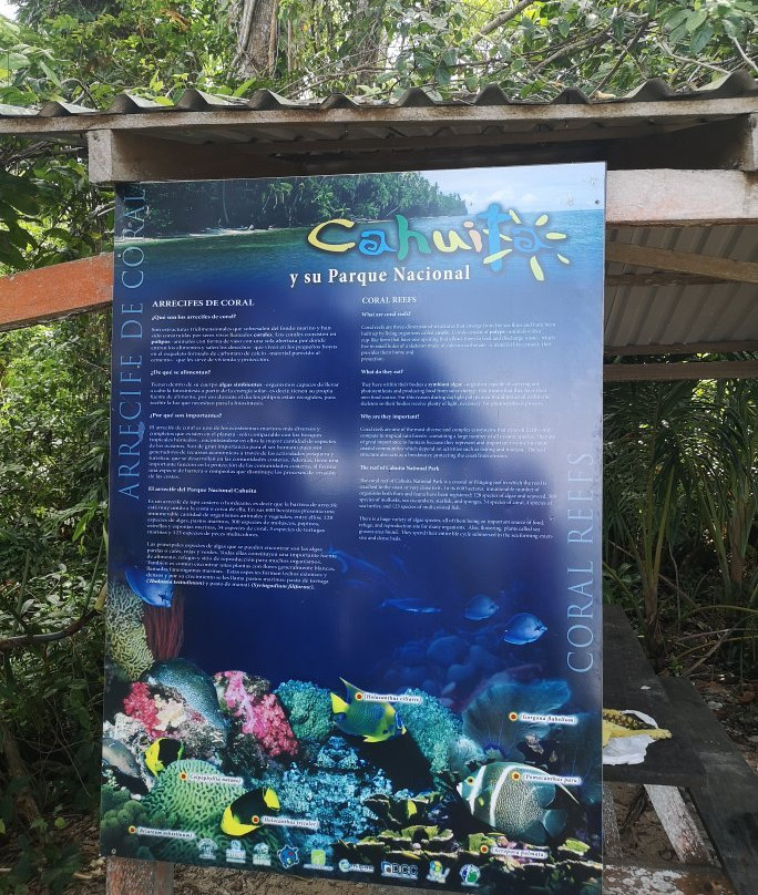 Cahuita Tours景点图片