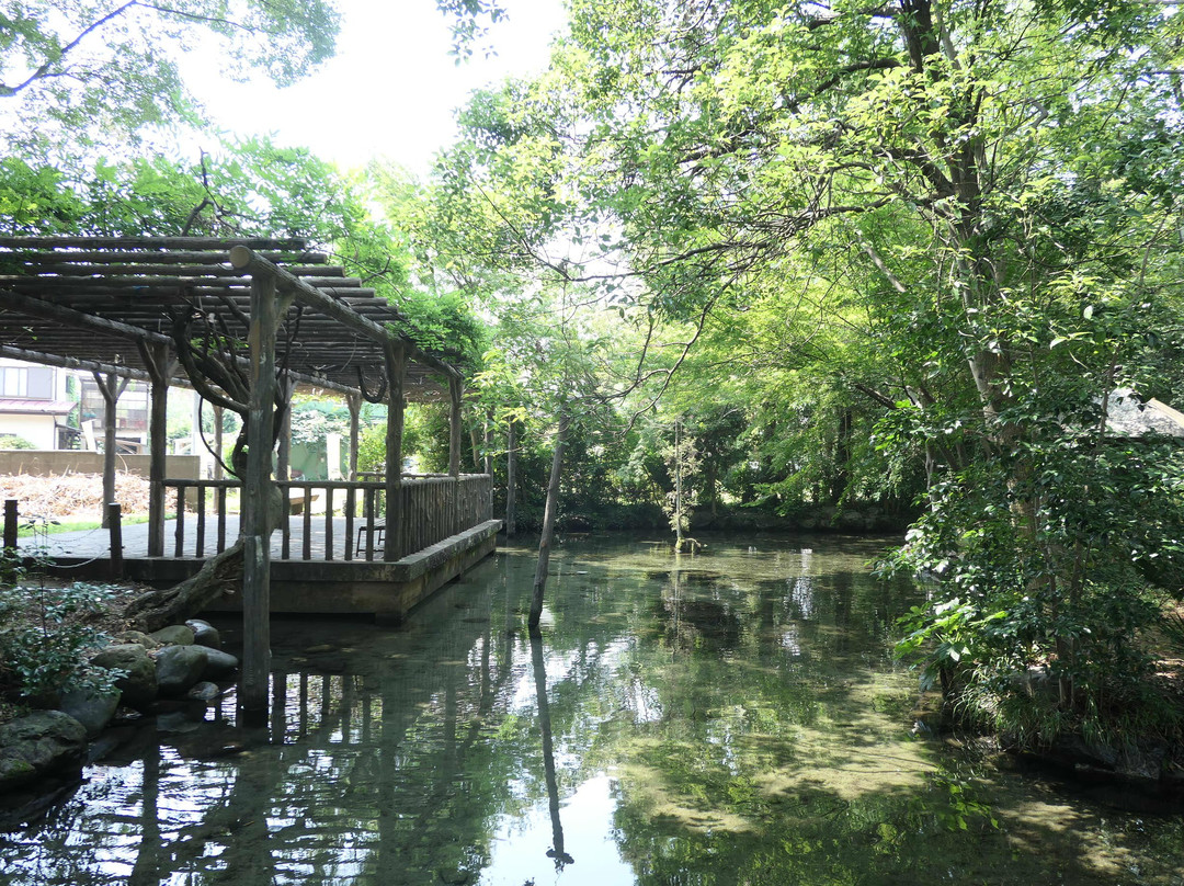 Ninomiya Shrine-秋留野市必去景点