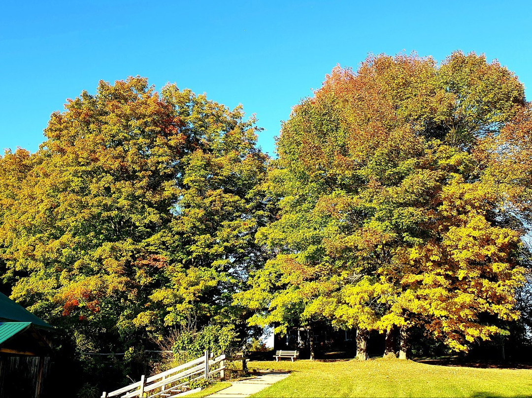 Proctor Park Conservation Area景点图片