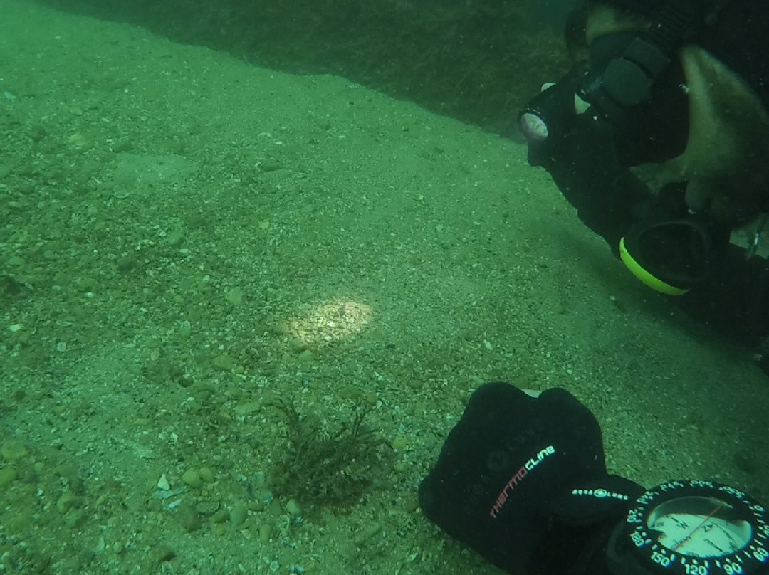 Ocean Respect Ecodive Center景点图片