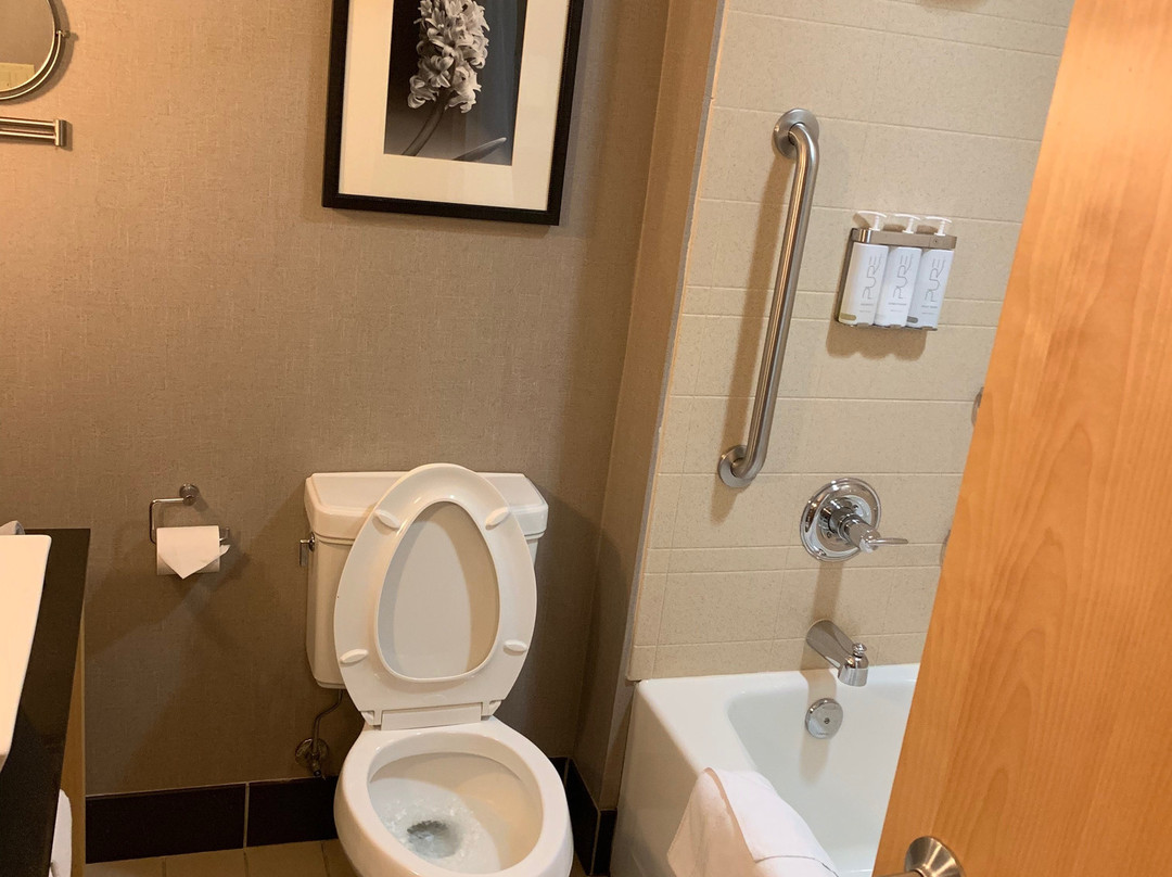 Cambria hotel & suites主图