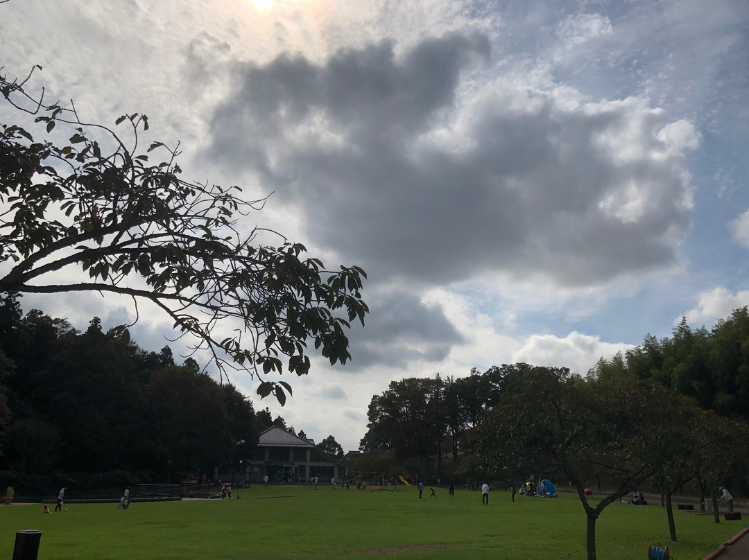 Akebonoyama Park-柏市必去景点