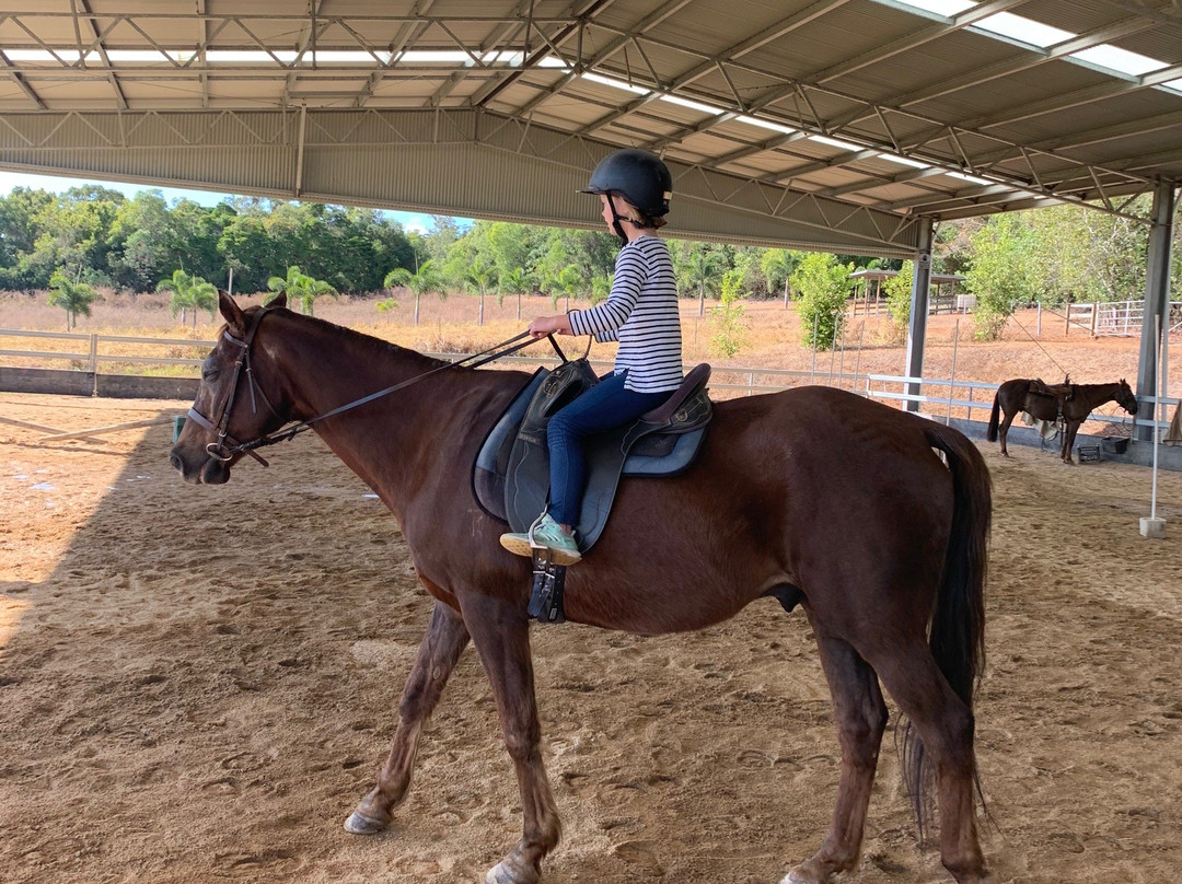 Ports Horse Farm-道格拉斯港必去景点