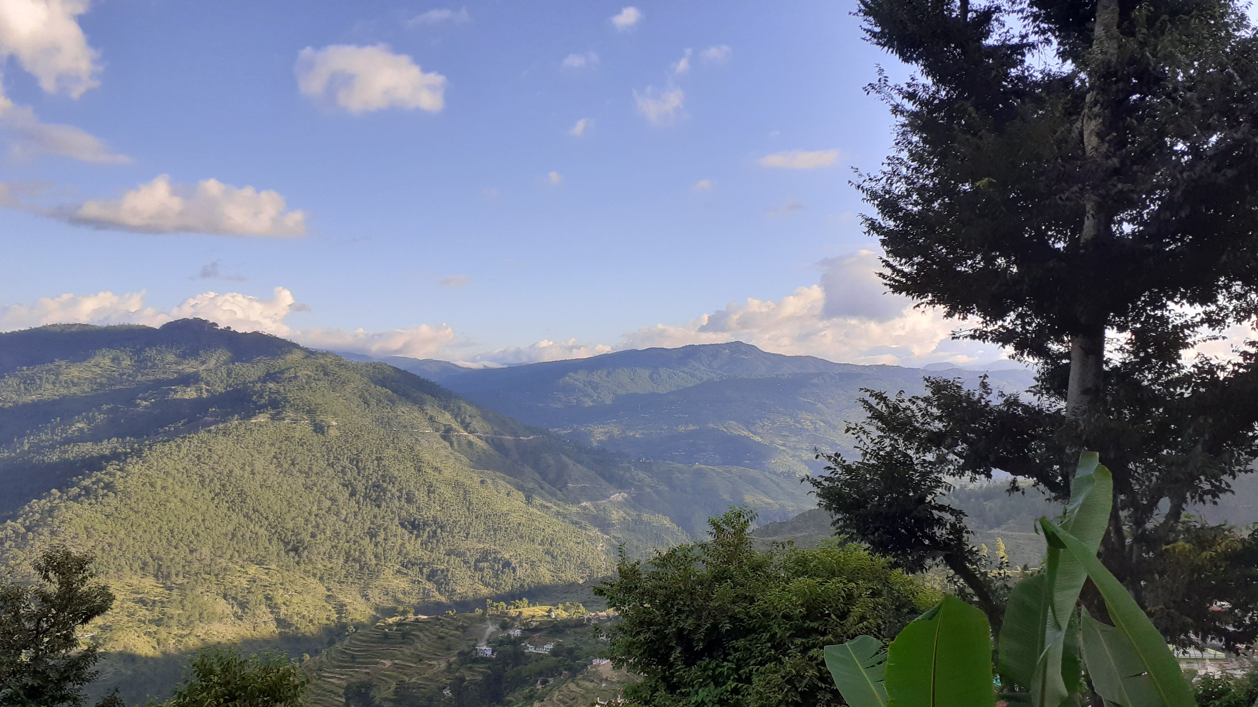 Deodar Homestay-酒店景观