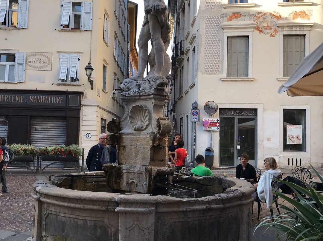 Fontana del Nettuno di Rovereto景点图片