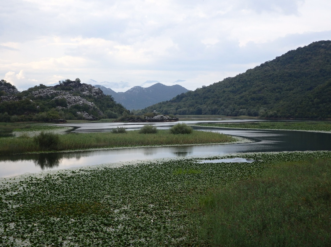 卡鲁克公寓