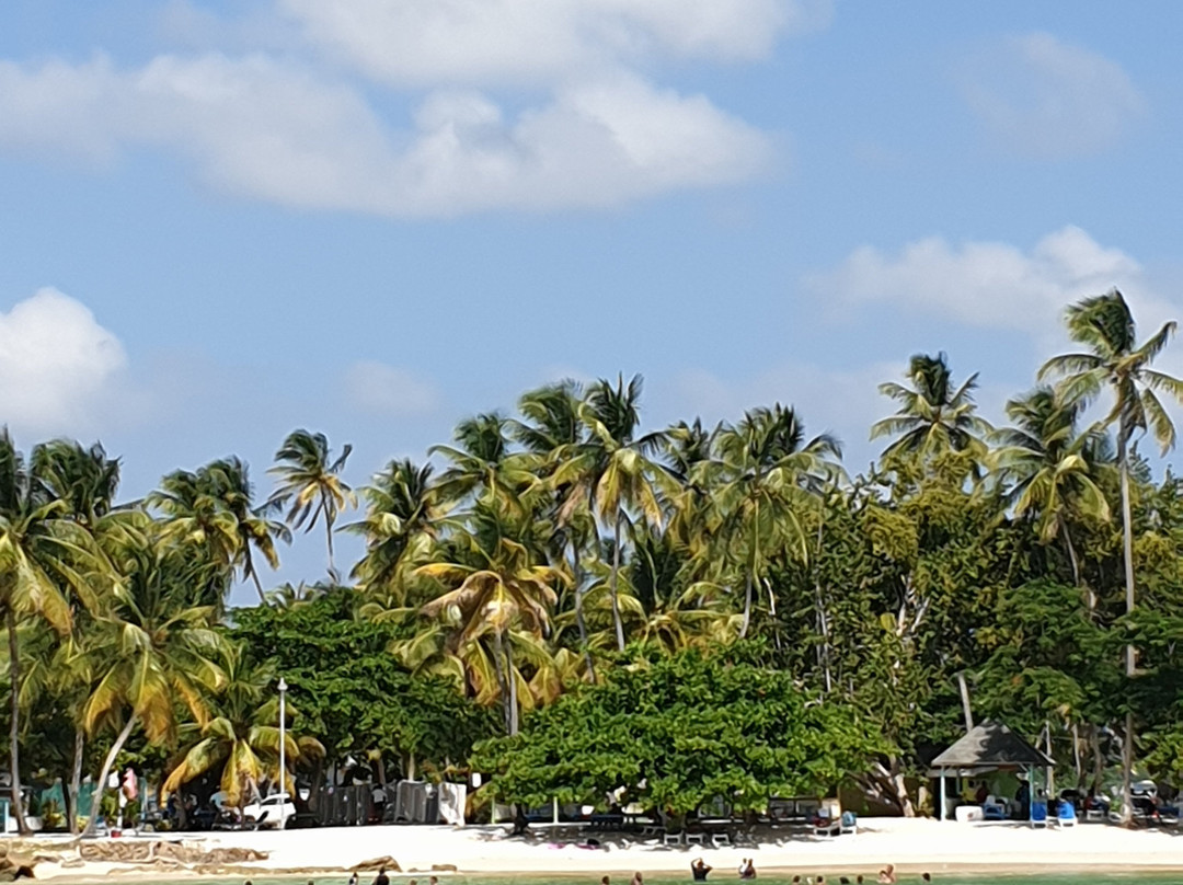 Kennedy Island Tours景点图片