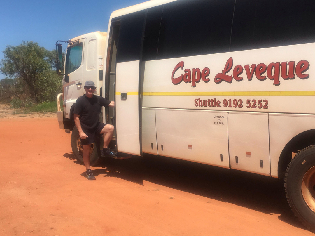 Broome Transit Tours景点图片