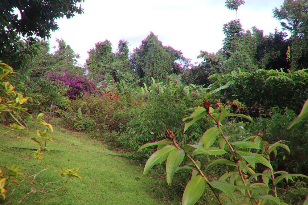 Jardin Botanique de Valombreuse景点图片