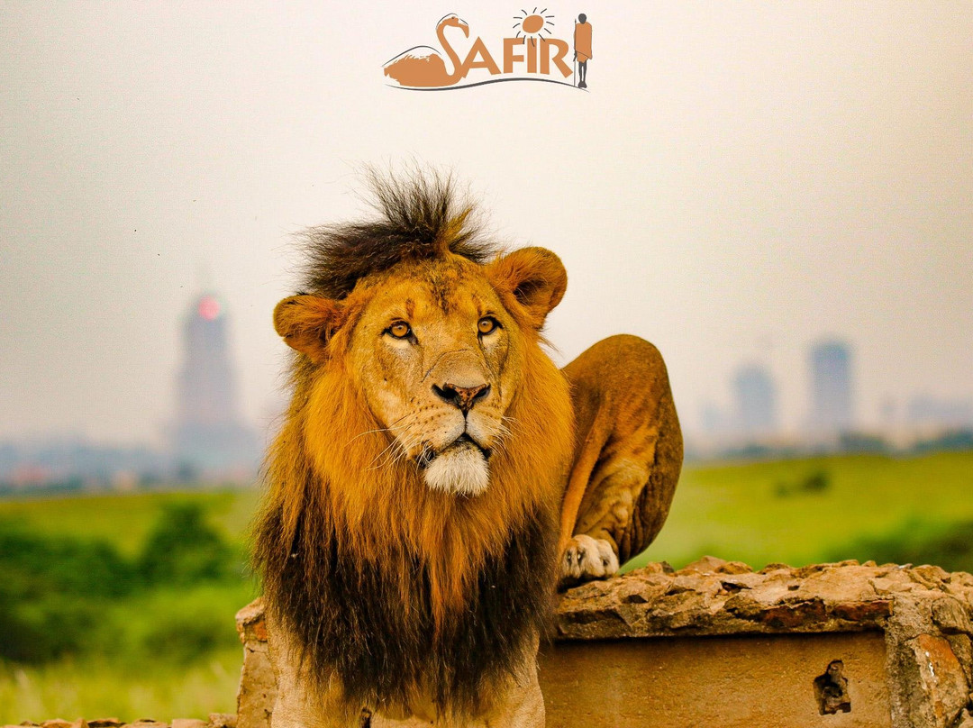 Luxing Warriors-内罗毕必去景点