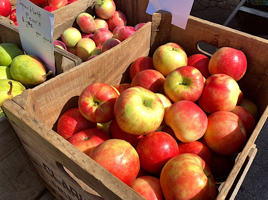 Greenfield Farmers Market-格林菲尔德必去景点