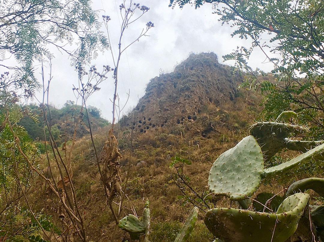 Museo Inkariy-Calca必去景点