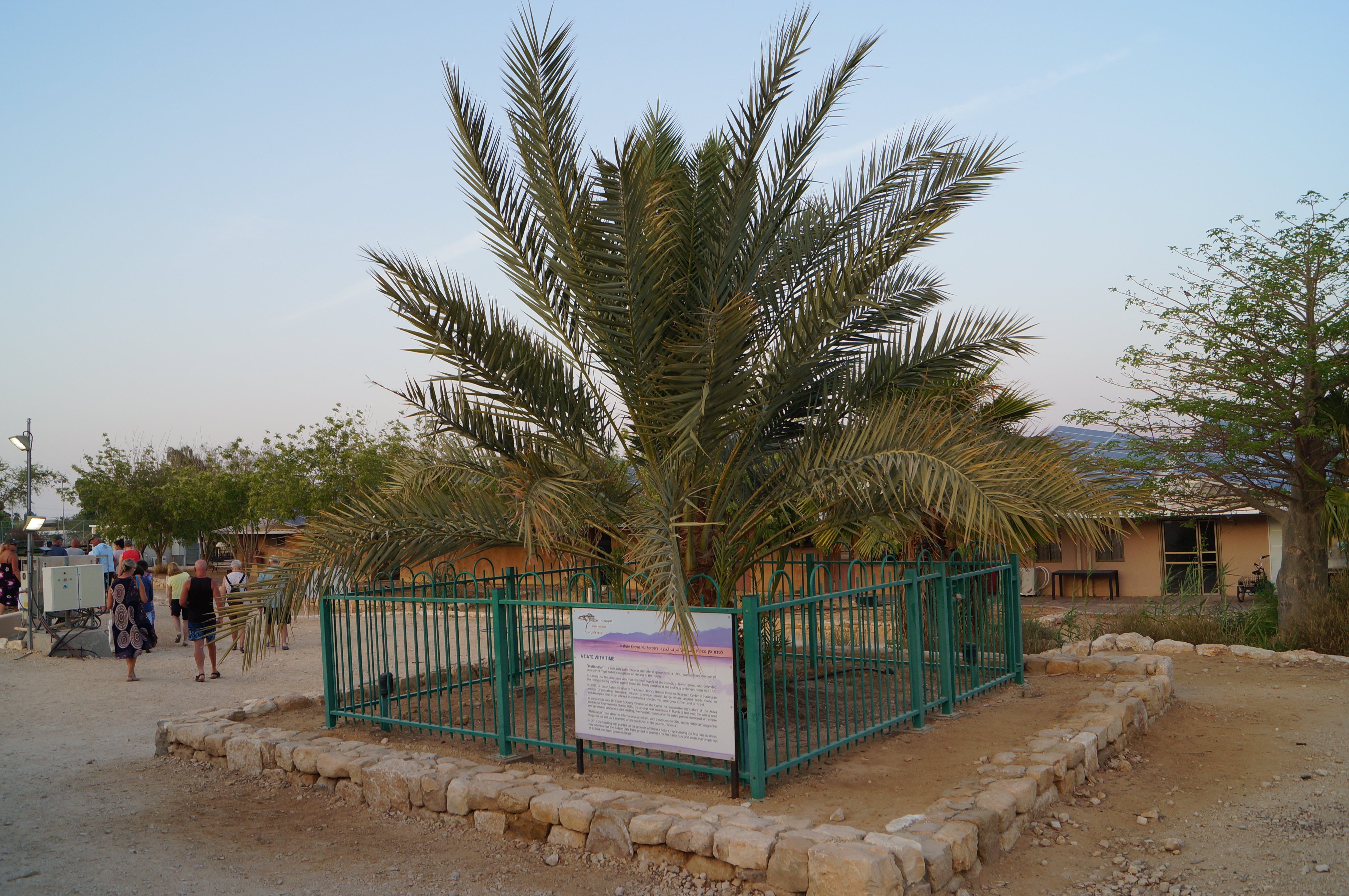 Kibbutz Ketura Guest House-浴室