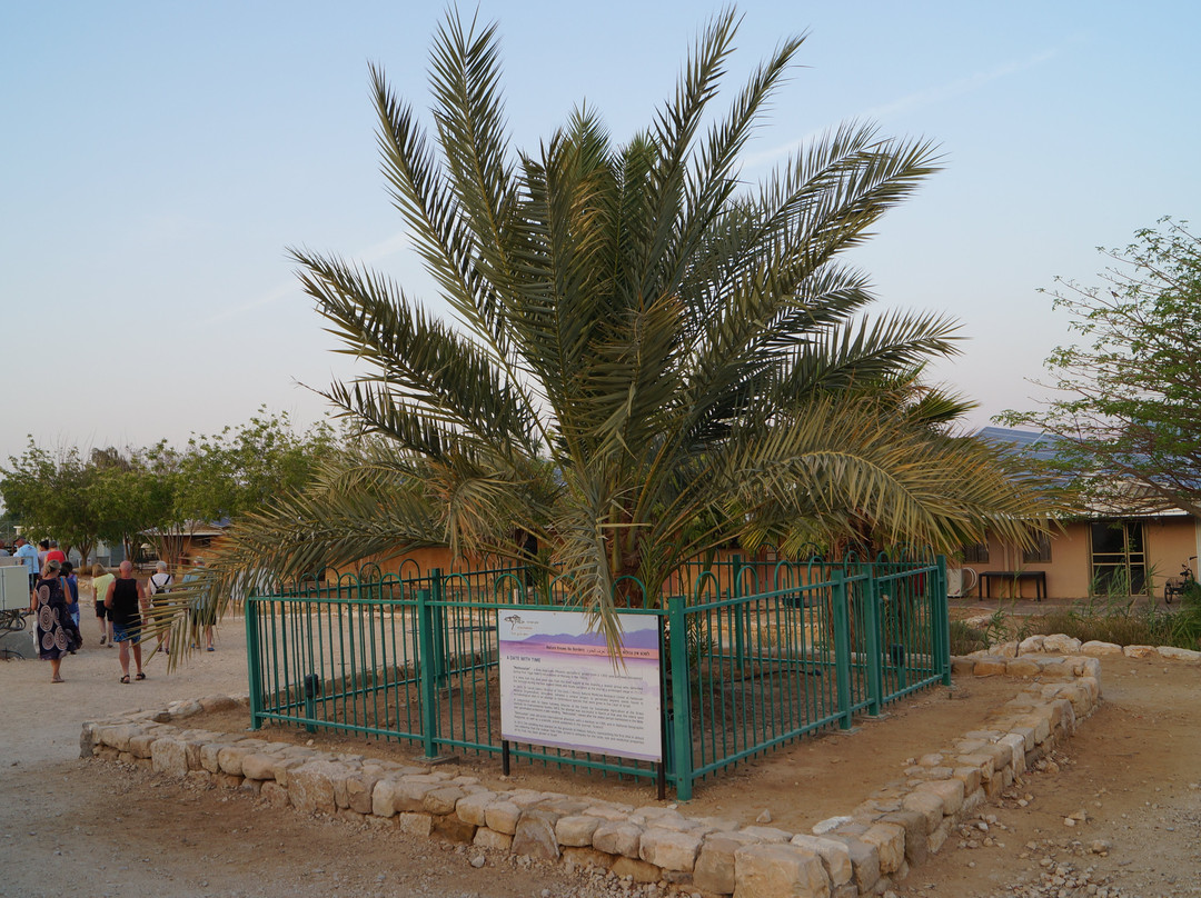 Kibbutz Ketura Guest House主图