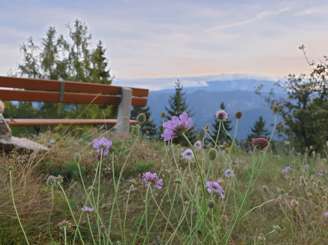 Alpengasthof Walder主图