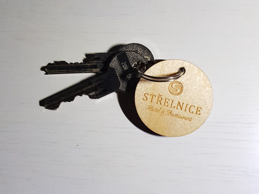 Hotel Strelnice主图