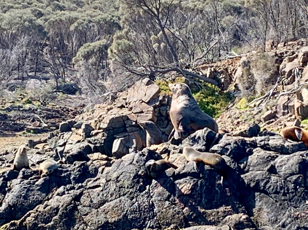 Freycinet Charters景点图片