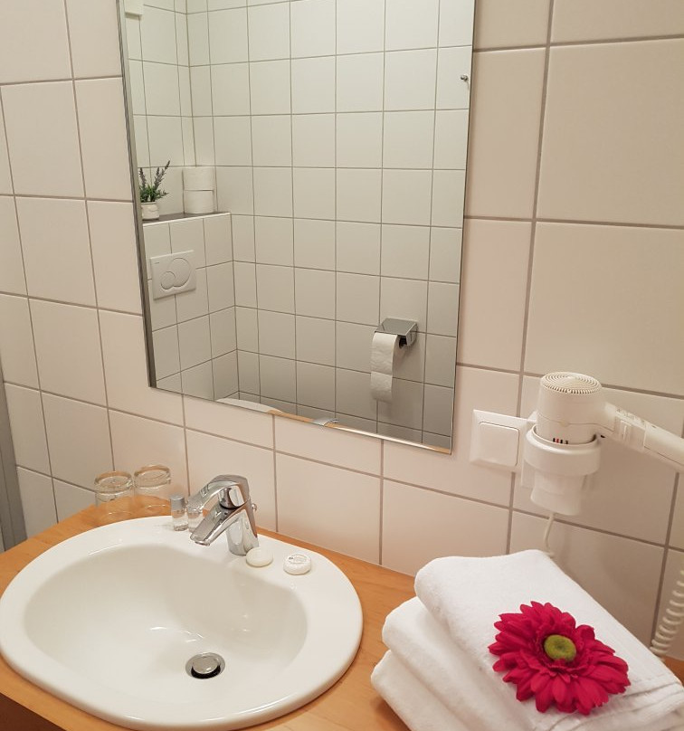 Wellness Pension Waldhof主图