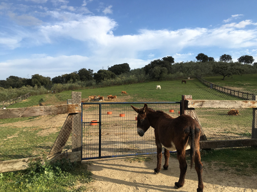 Alojamiento Rural Las Dehesillas主图