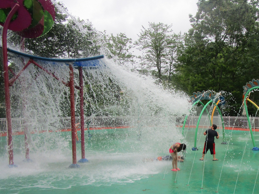 The Dinosaur Place-Oakdale必去景点