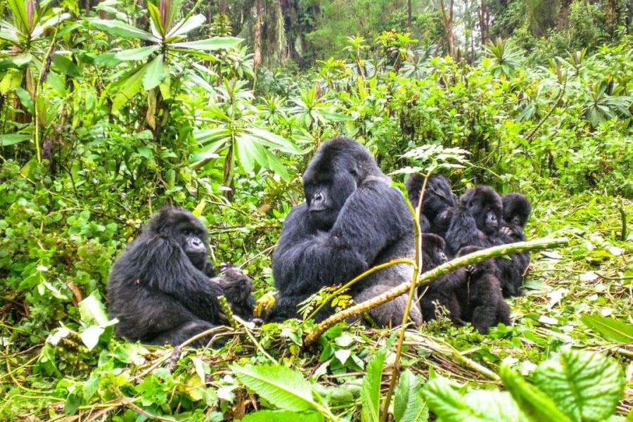 On Holiday Safaris-恩德培必去景点