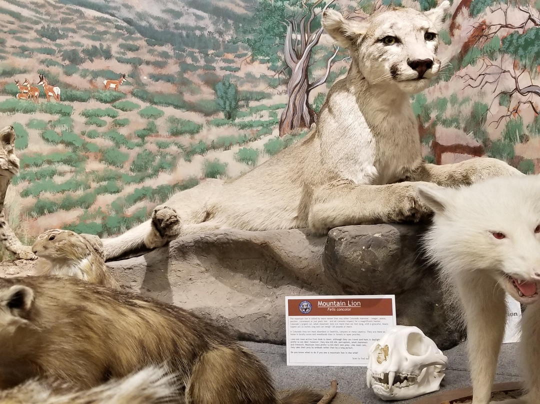 Durango Wildlife Museum and Fish Hatchery景点图片