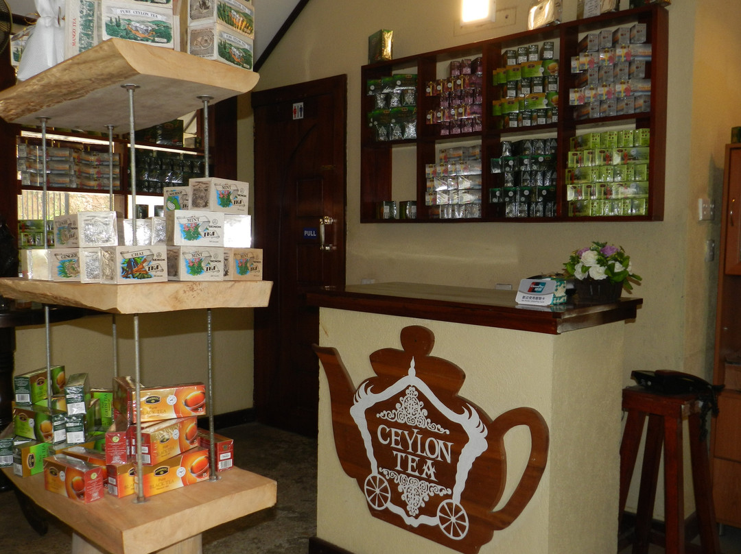 Eeescart Family Resort主图