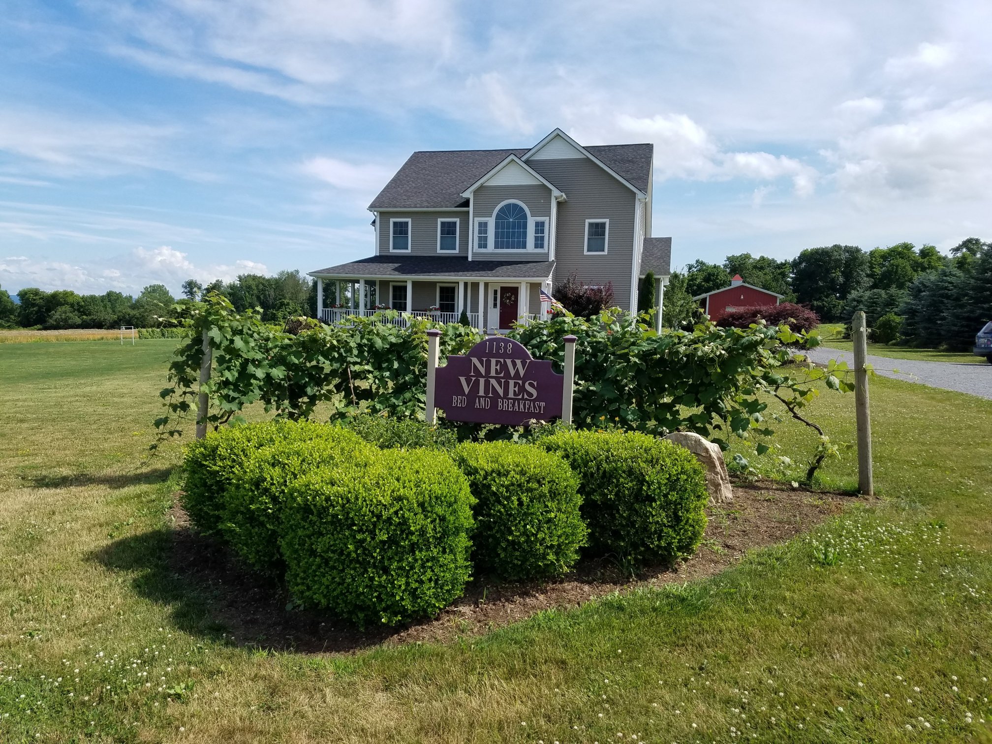 New Vines Bed & Breakfast-浴室