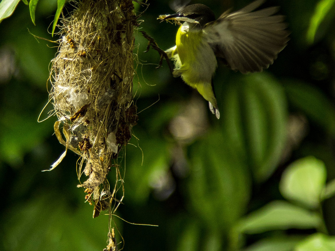 汉莎纳假日客房酒店主图