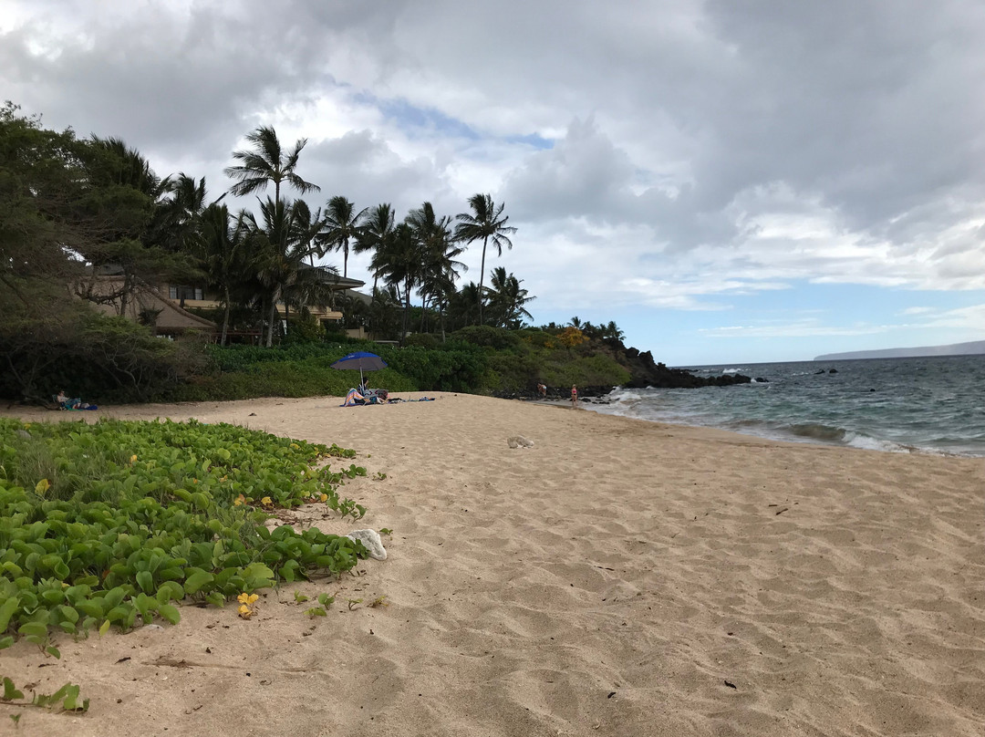 Palauea Beach-维雷亚必去景点