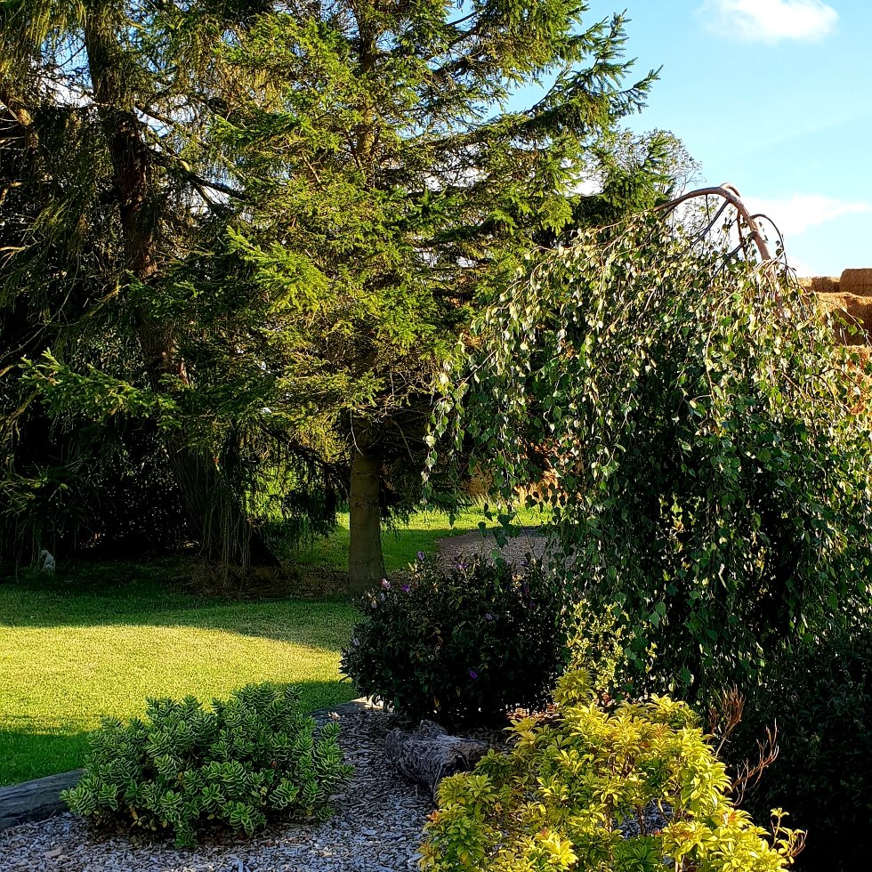 The Vine B & B-portrait