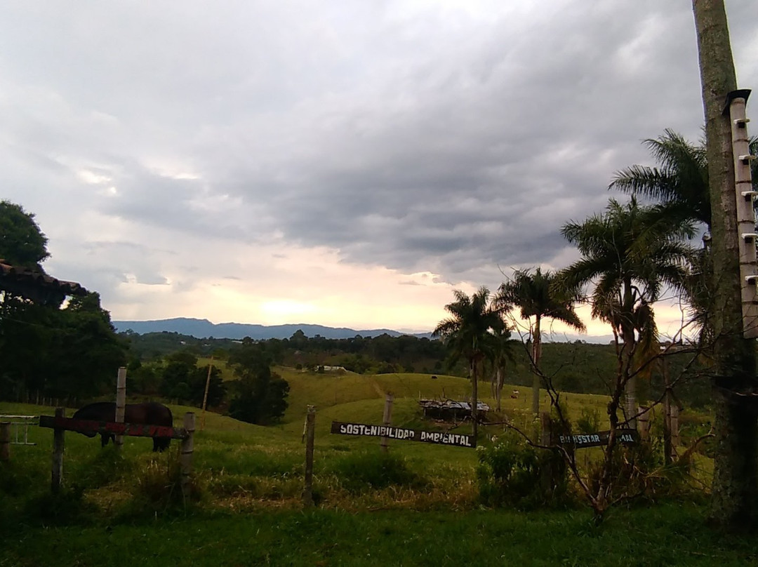 Finca Tematica La Divisa-Filandia必去景点