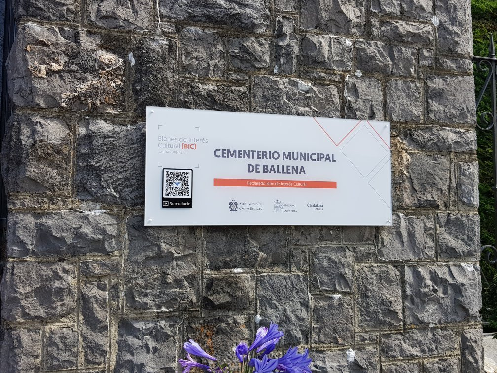 Cementerio de Ballena景点图片