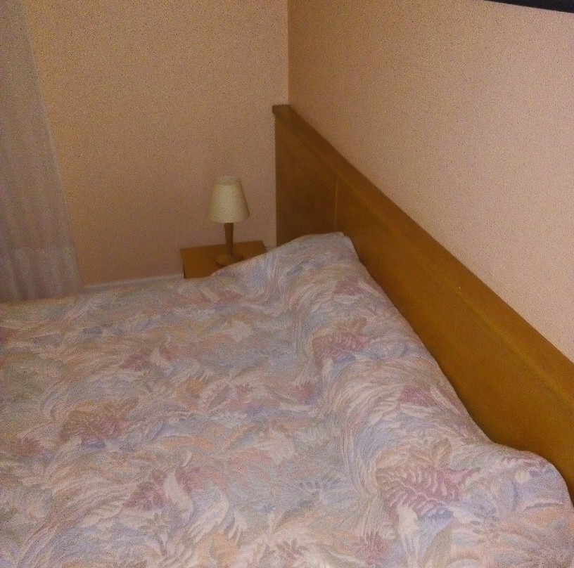 Hôtel Pons主图