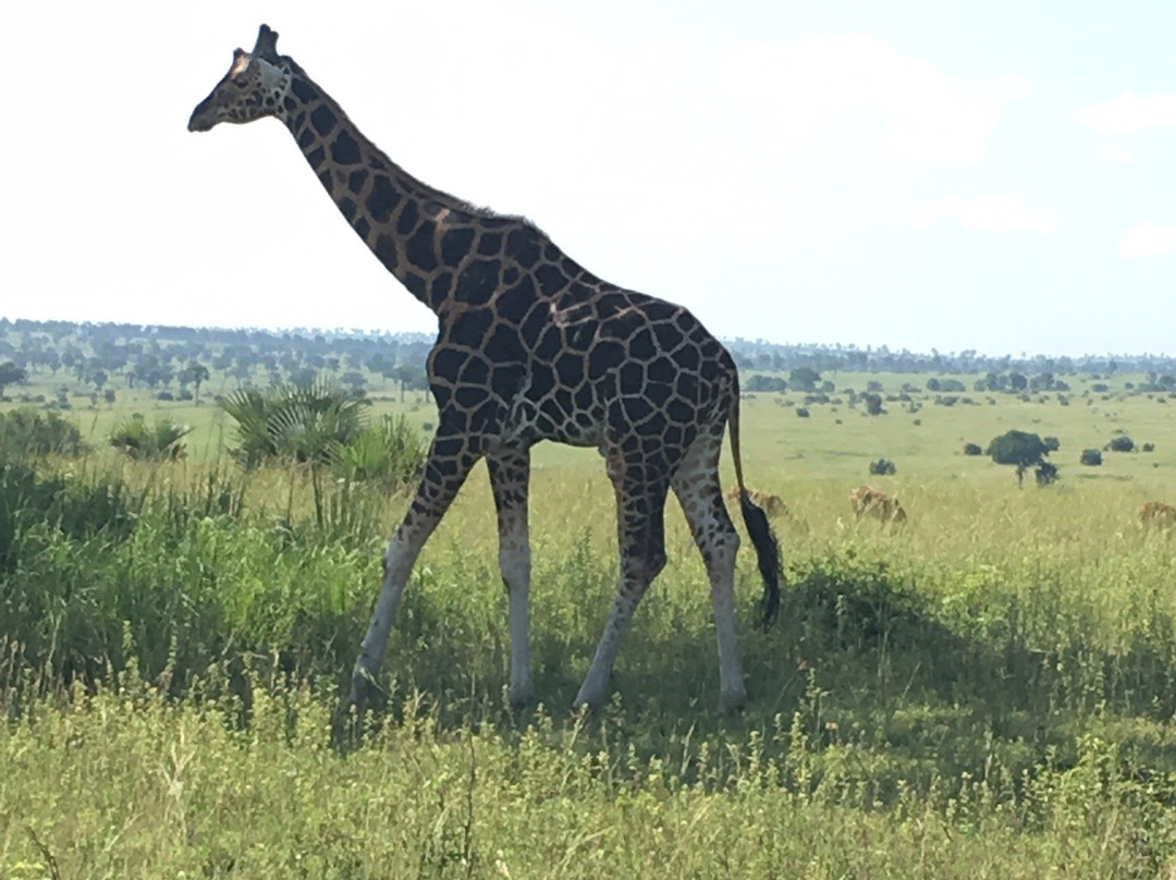 GreTours-恩德培必去景点