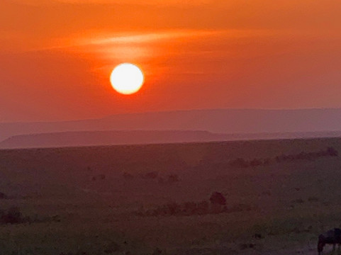 Bushwatch-内罗毕必去景点