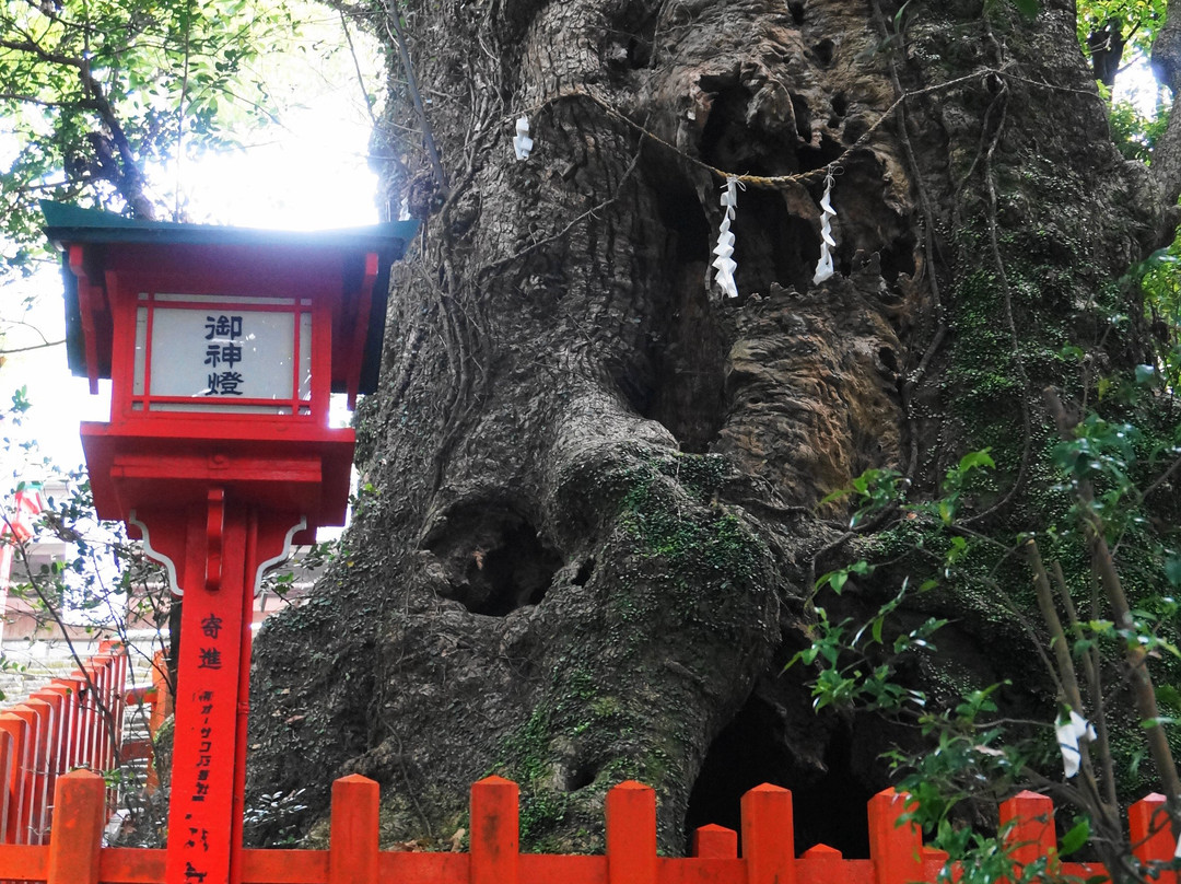 Nitta Shrine-萨摩川内市必去景点