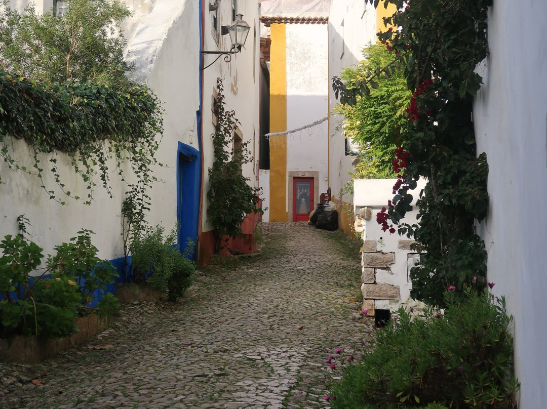 Passa Montanhas Trekking and Tours-奥比都斯必去景点