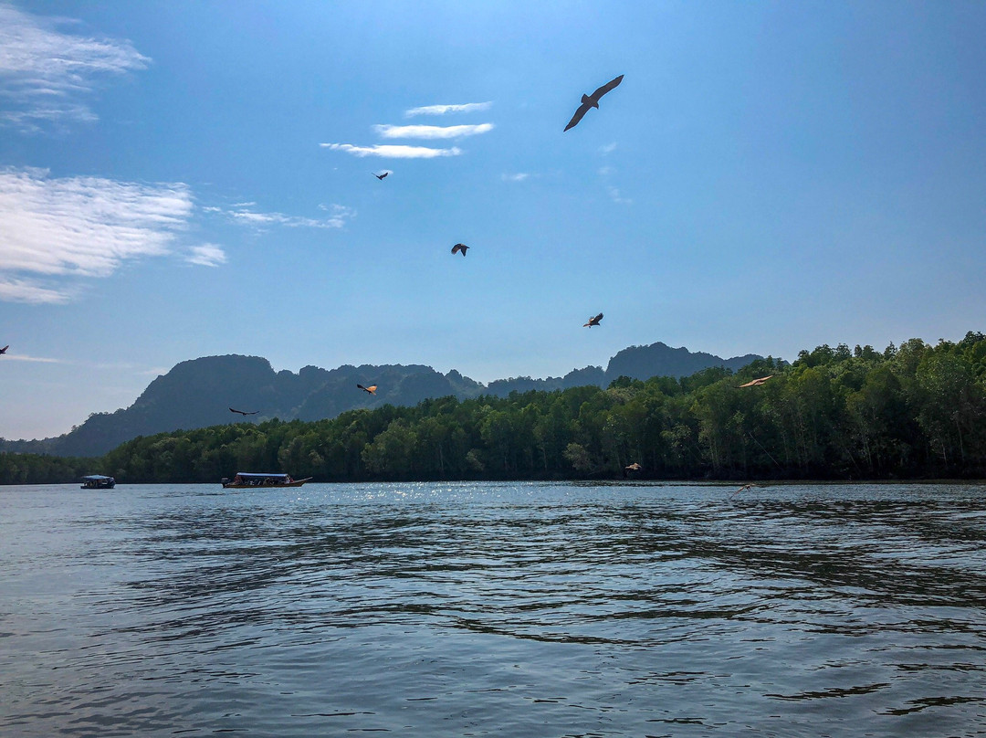 Langkawi Mangrove Tour by Hasfary Travel & Tours景点图片