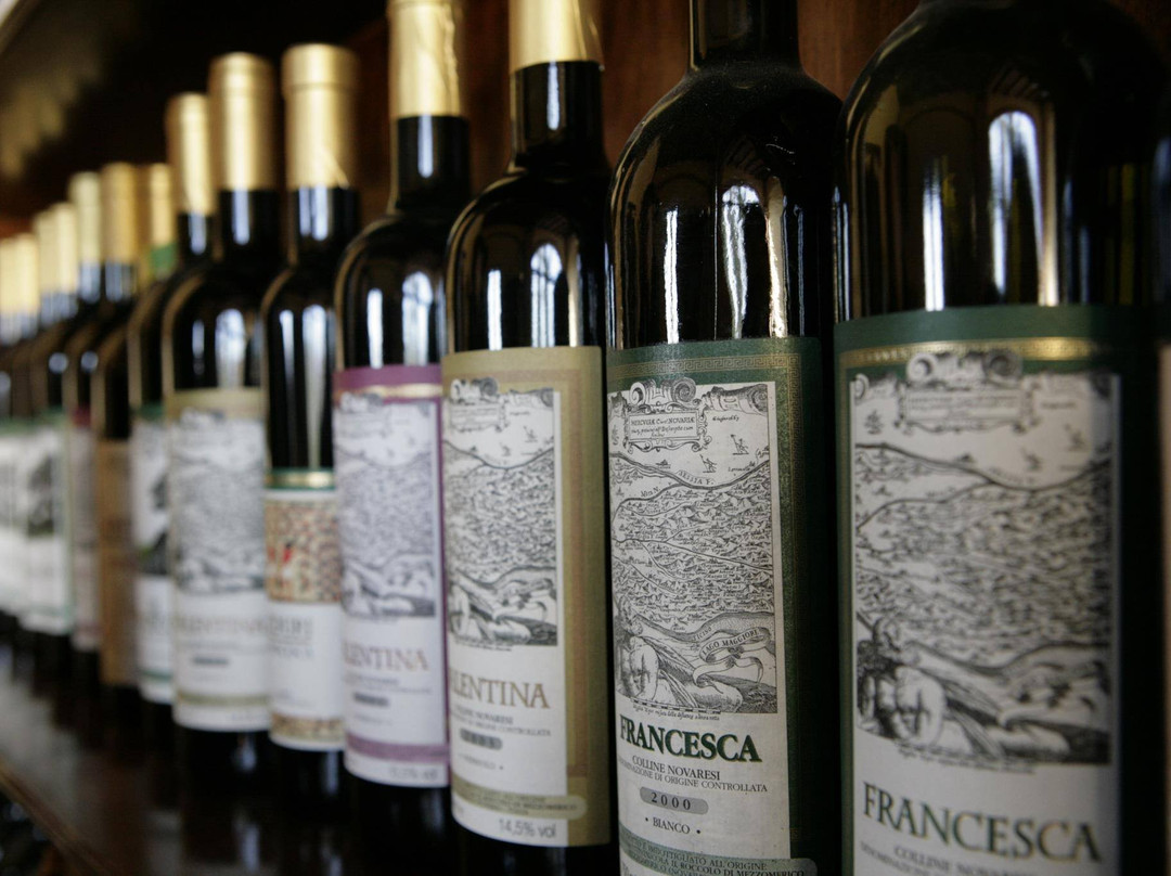 Azienda vitivinicola Il Roccolo di Mezzomerico景点图片