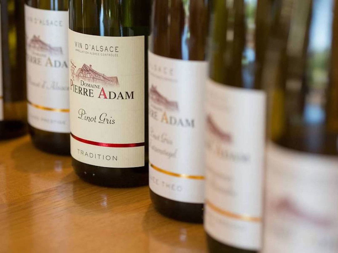 Domaine Pierre Adam景点图片