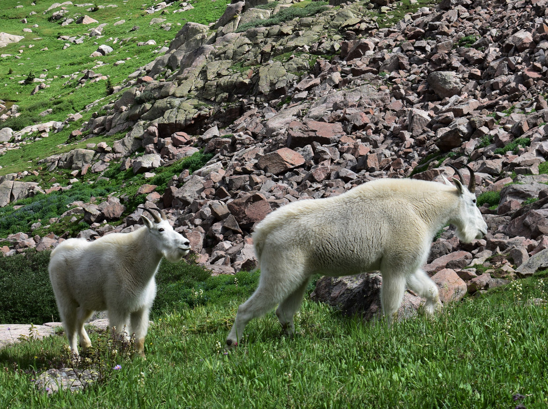 Gore Creek Trailhead-韦尔必去景点